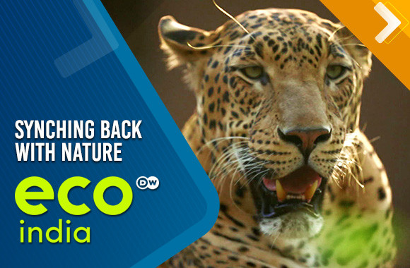 Synching back with nature