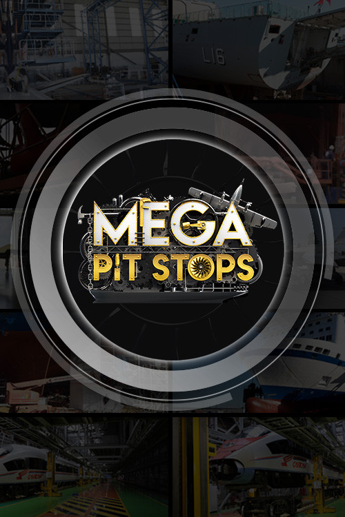 Mega Pit Stops