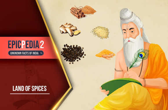 E8 - Indian Spices
