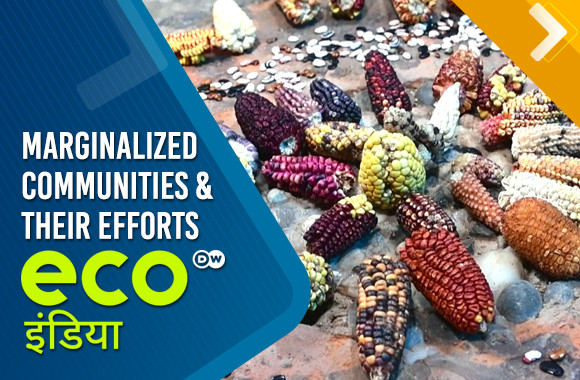 Marginalized communities and their efforts to conserve biodiversity