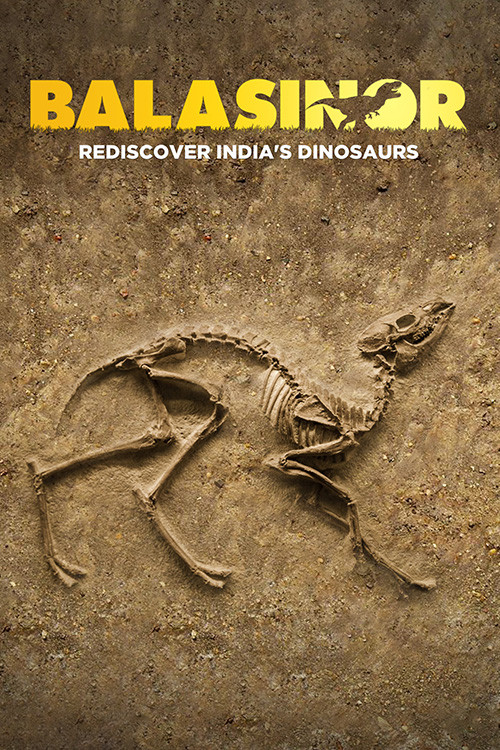 Balasinor Rediscover India's Dinosaurs