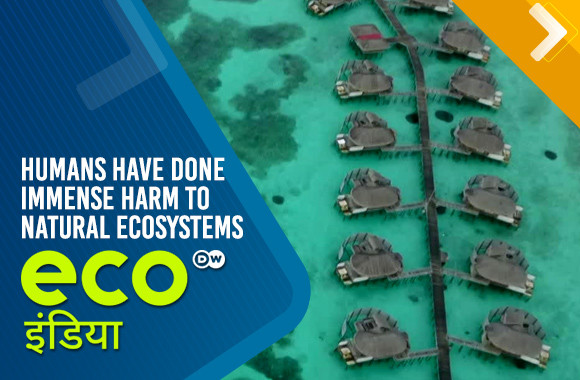 Humans have done immense harm to natural ecosystems