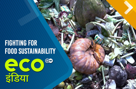 Fighting for food sustainability