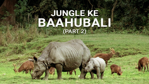 Jungle Ke Baahubali - Part 2