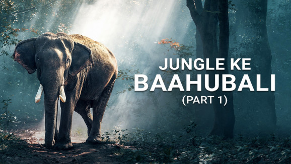 Jungle Ke Baahubali - Part 1
