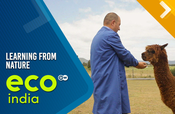 Learning from Nature