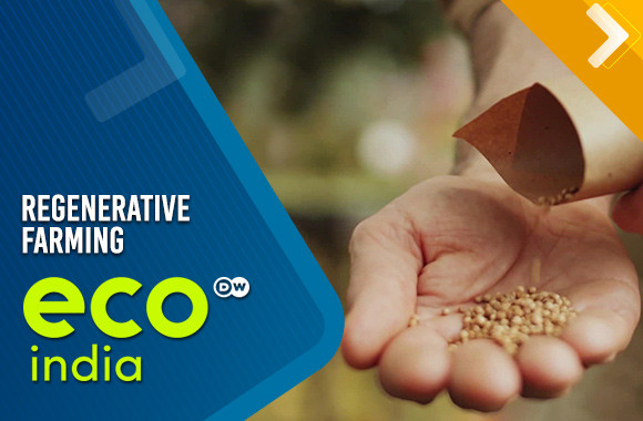 Regenerative Farming