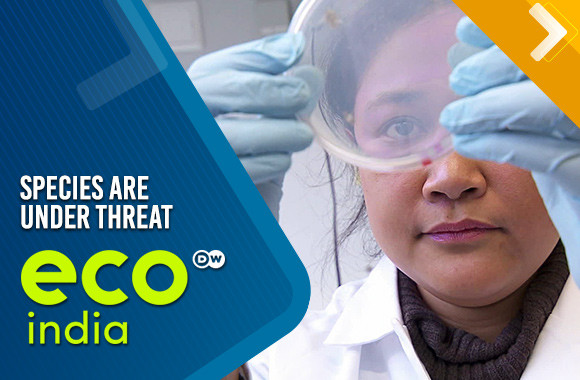 Species are under threat