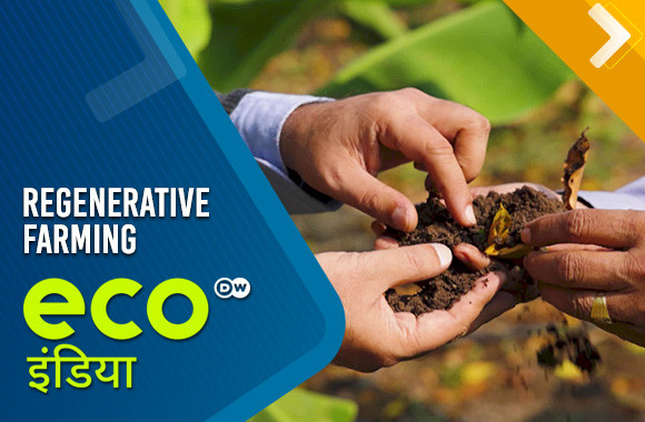 Regenerative Farming