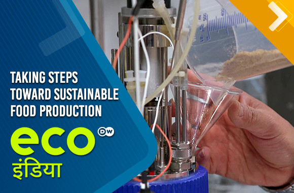 Taking steps toward sustainable food production