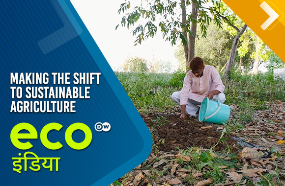 Making the shift to sustainable agriculture